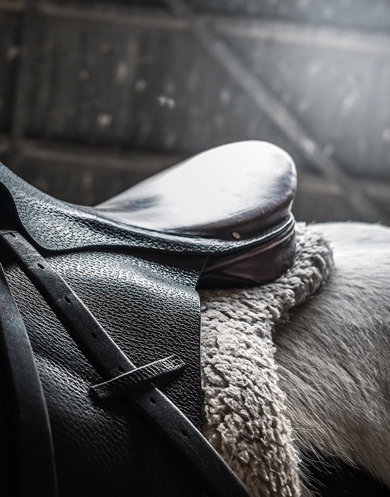 Western saddle