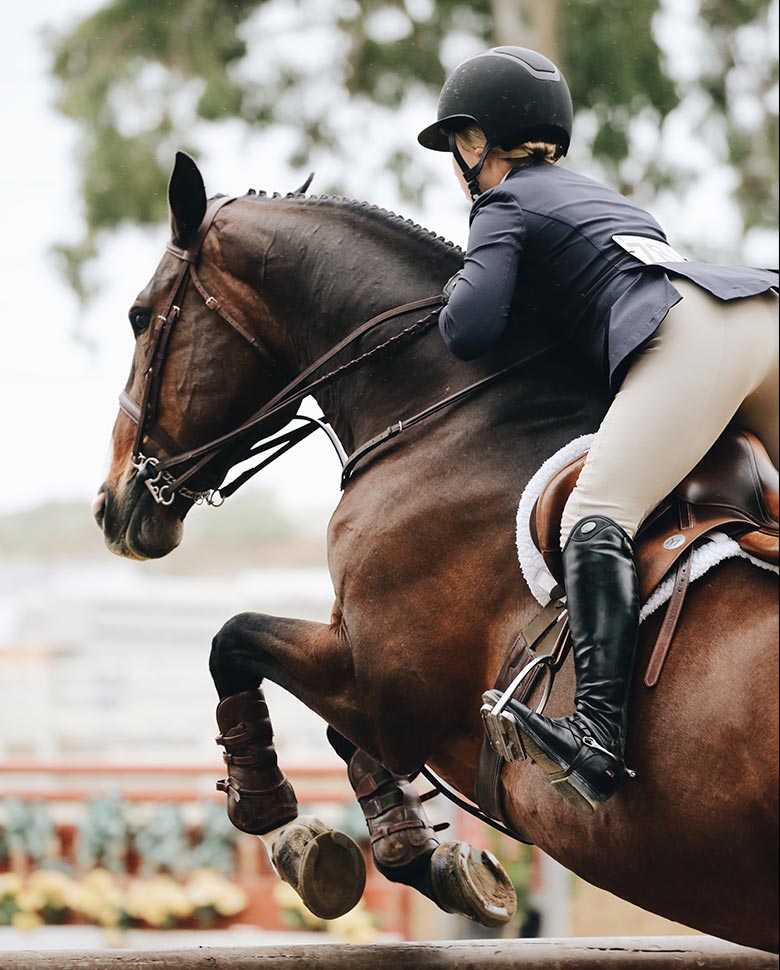 HORSE SADDLES