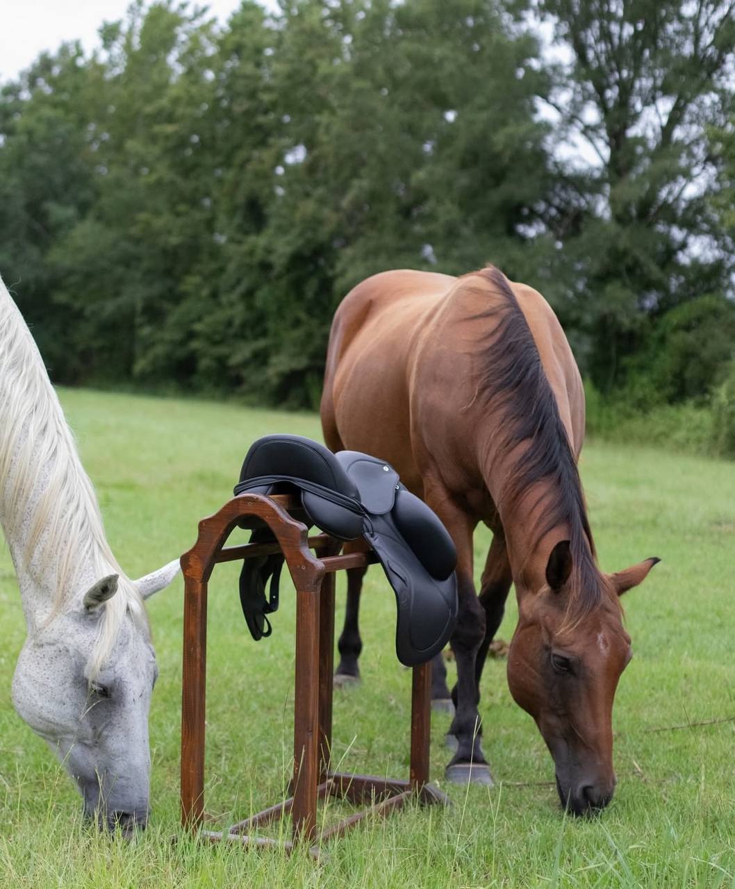 Western saddle